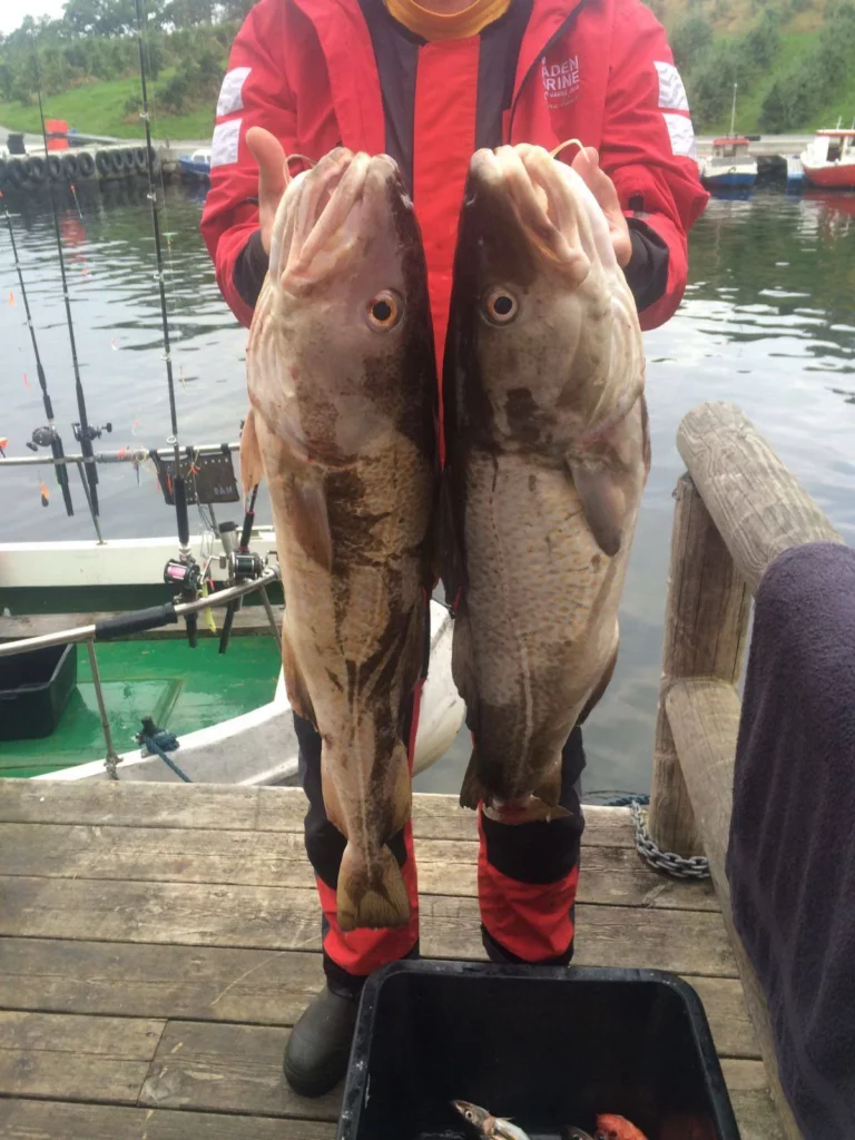 Unsere glücklichen Angler zum Ferienhaus Solvag Apartment
