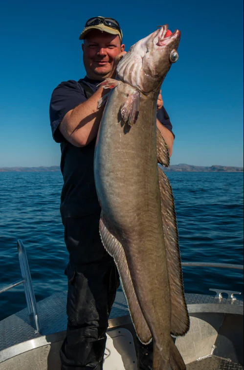 Unsere glücklichen Angler zum Ferienhaus Bomlo Ferienhütte Ålfjord