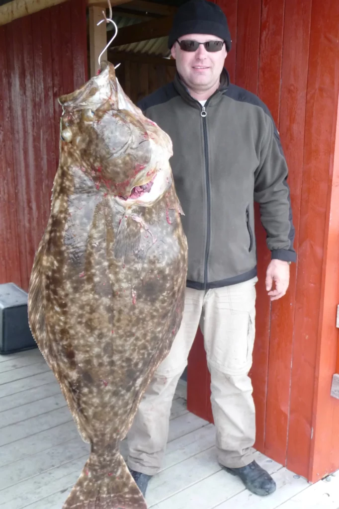 Unsere glücklichen Angler zum Ferienhaus Hindrum Fjord Senter 10 Per.