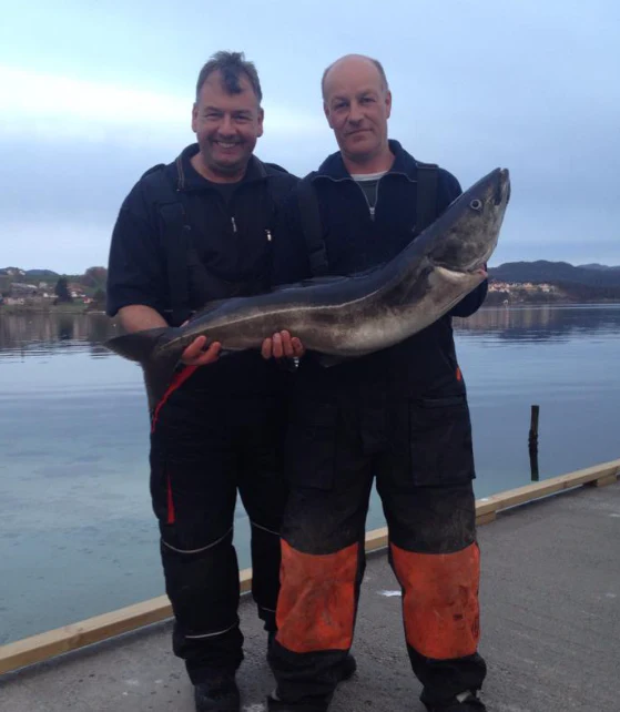 Unsere glücklichen Angler zum Ferienhaus Ferienhaus Eidsvik