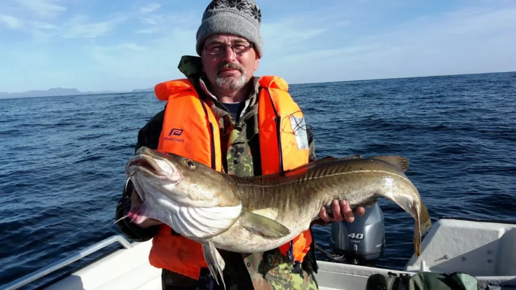 Unsere glücklichen Angler zum Ferienhaus Ferienwohnung Laksen