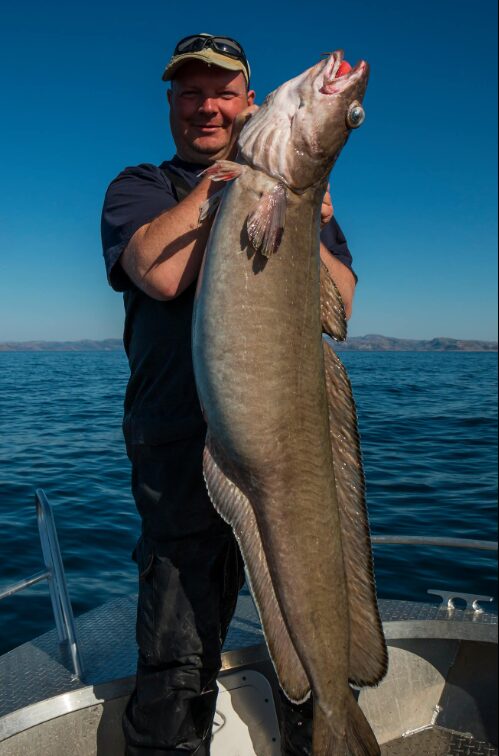 Unsere glücklichen Angler zum Ferienhaus Bessaker SLØYEHUSET