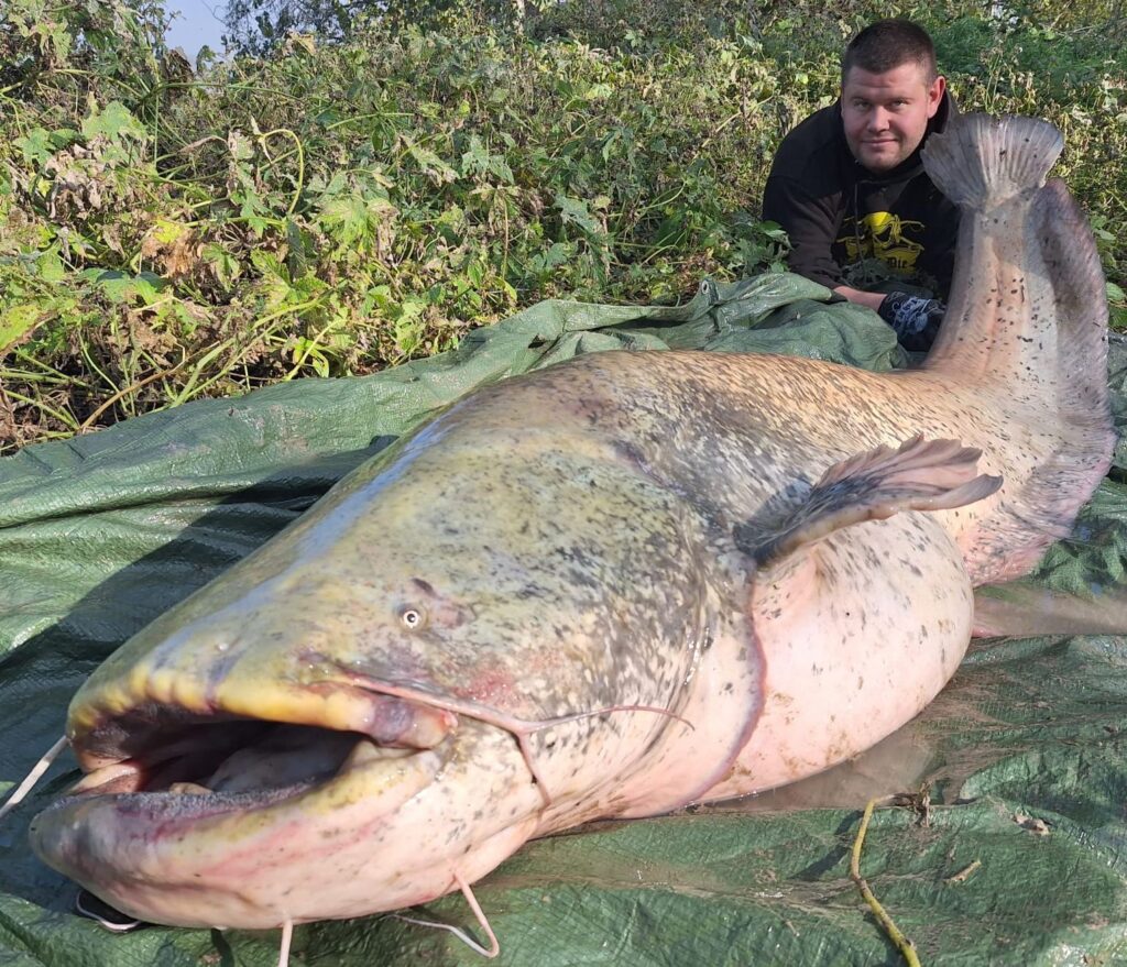 Unsere glücklichen Angler zum Ferienhaus Italien Wels Guiding Tour