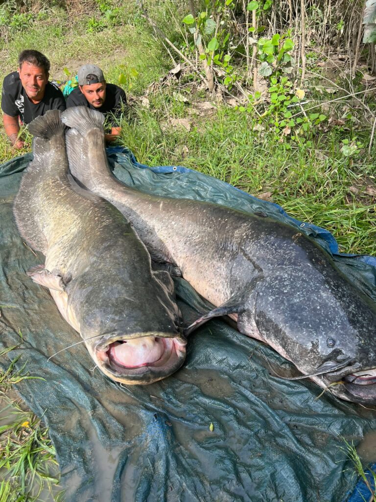 Unsere glücklichen Angler zum Ferienhaus Italien Wels Guiding Tour