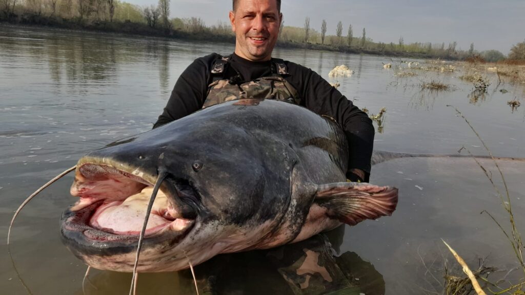 Unsere glücklichen Angler zum Ferienhaus Italien Wels Guiding Tour