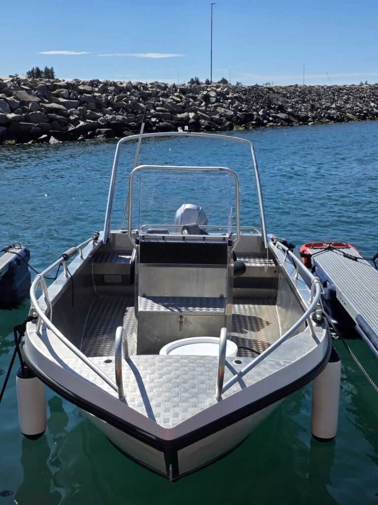 Gemi Aluminium Boot 21 ft. 100 PS Lauvoy