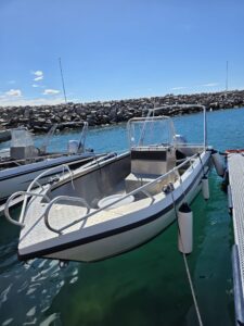 Gemi Aluminium Boot 21 ft. 80 PS Lauvoy