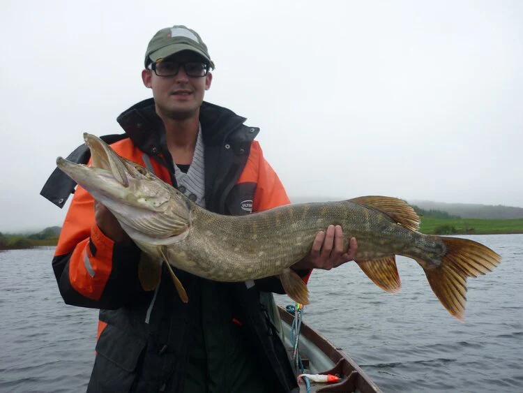 Unsere glücklichen Angler zum Ferienhaus Pike Fishing Lodge 4 Personen